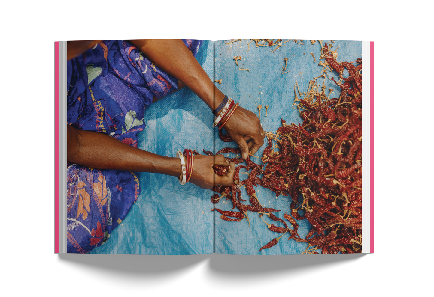 MUMBAI: A Journey Through Its Kitchens, Streets, and Stories